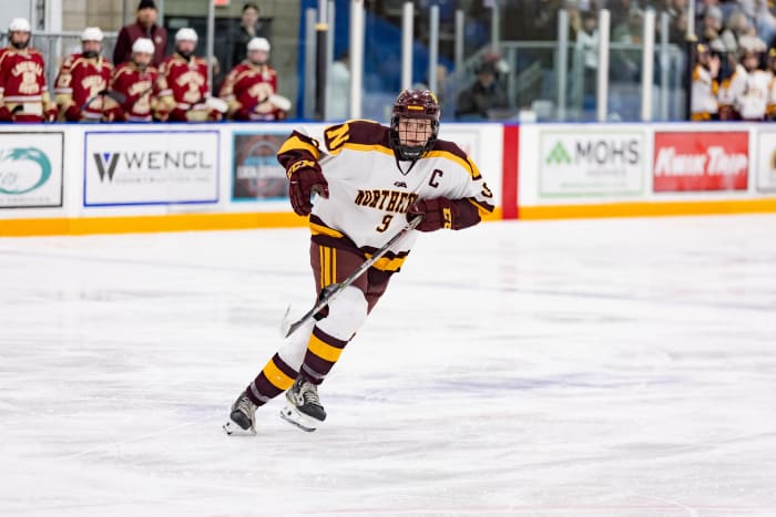 Ayla Puppe Named Minnesota's Ms. Hockey - The Hockey News Womens News ...