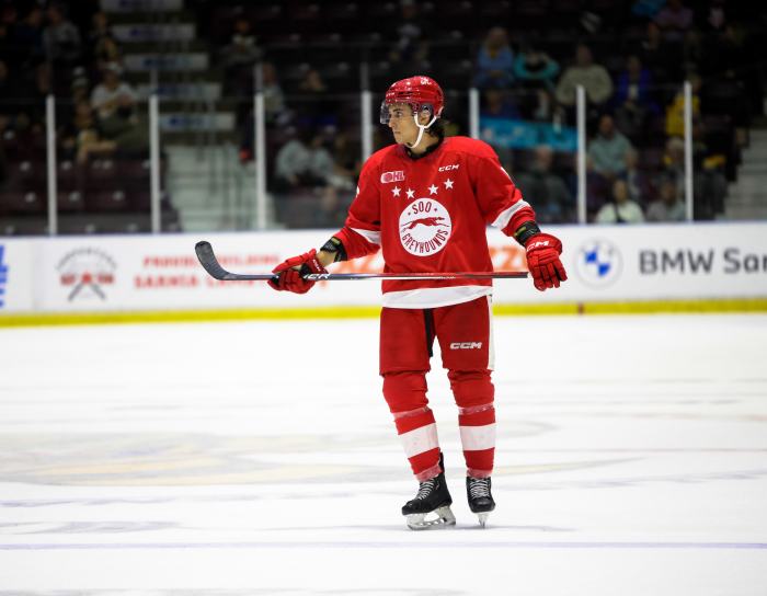 Soo Greyhounds Defenceman Andrew Gibson Signs Entry-Level Contract with ...