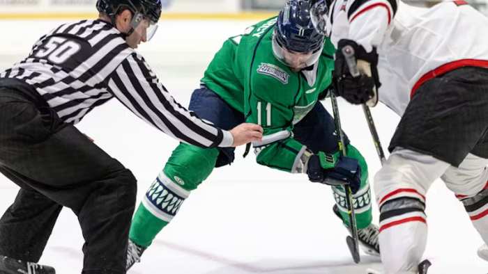 Stat Pack: Florida Everblades Vs. Adirondack Thunder ECHL Game 6 ...