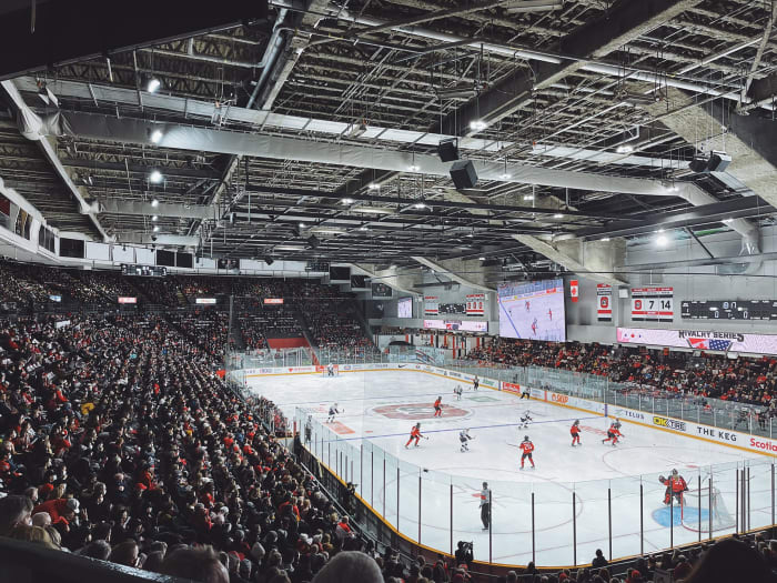 Ranking The PWHL's Six Venues - The Hockey News Womens News, Analysis ...