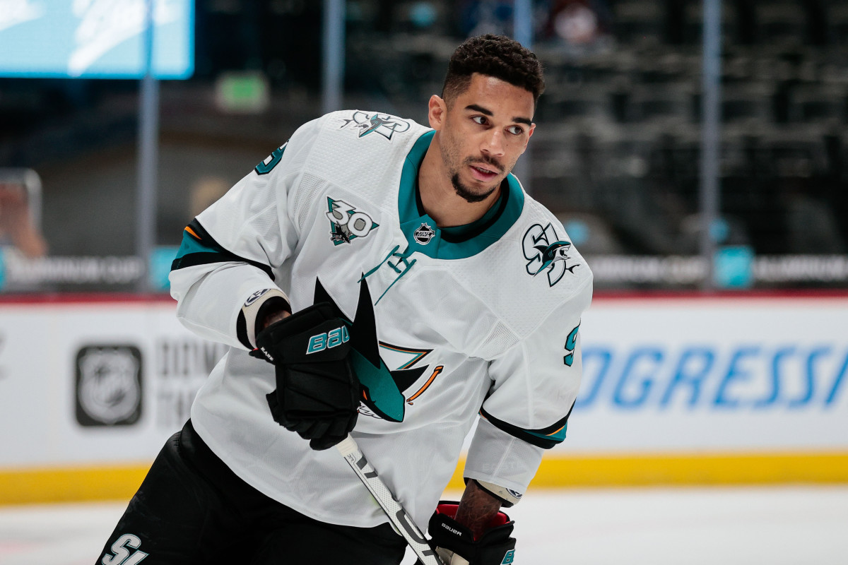 Evander Kane's final pitch for Chapter 11: 50 bets a day, gambling