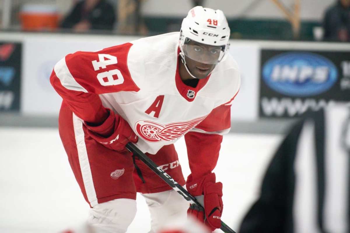 Detroit Red Wings News - NHL