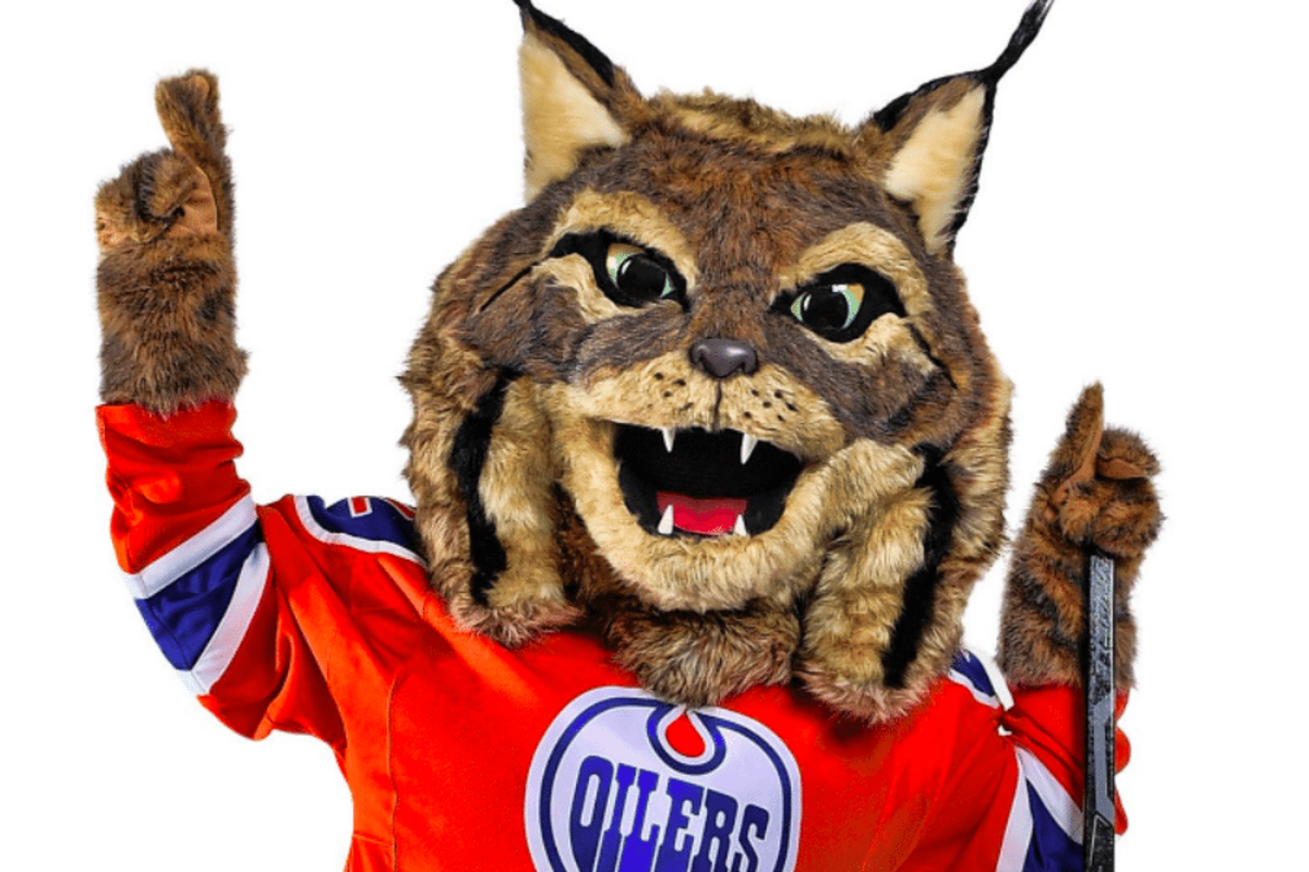Edmonton Oilers on X: Our lovable lynx Hunter is at the #Oilers Store in  @KingswayMall until 2pm! Remember, from now through March 14, all regular  priced apparel (excluding adult adidas jerseys) is