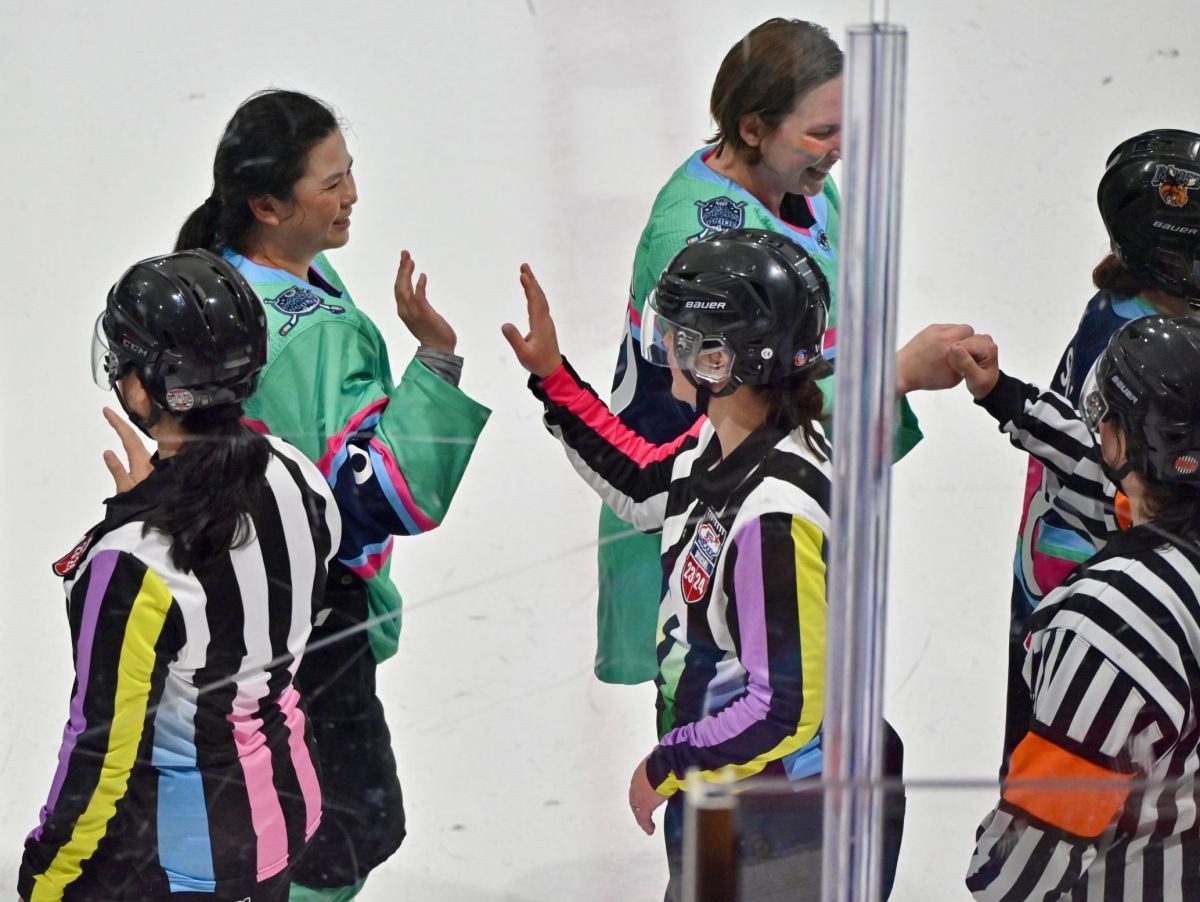 Release The Rainbow Zebras! - The Hockey News Seattle Kraken News ...