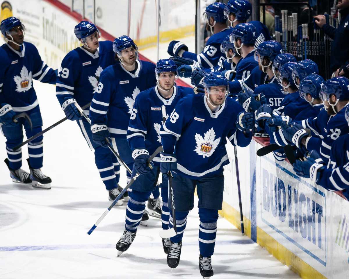 Toronto Maple Leafs Sign Affiliation Agreement with Cincinnati Cyclones ...