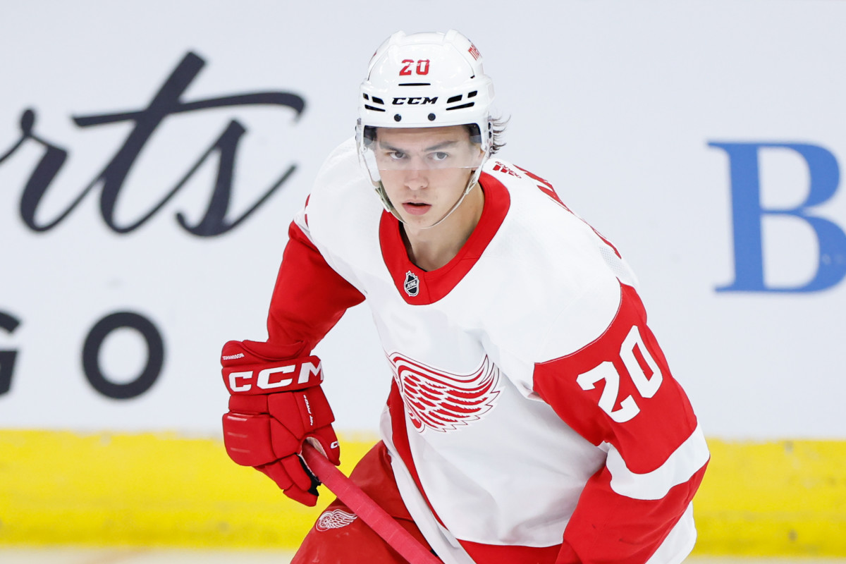 Detroit Red Wings defenseman Albert Johansson (20)