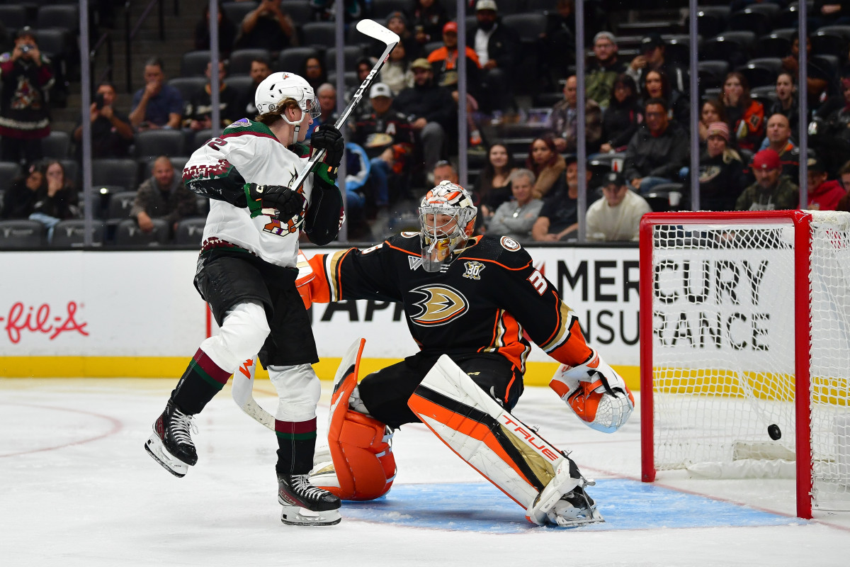 Coyotes Preseason 