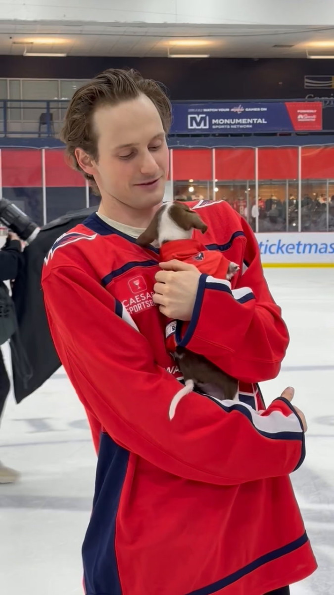 Washington Capitals players pose with puppies for a good cause