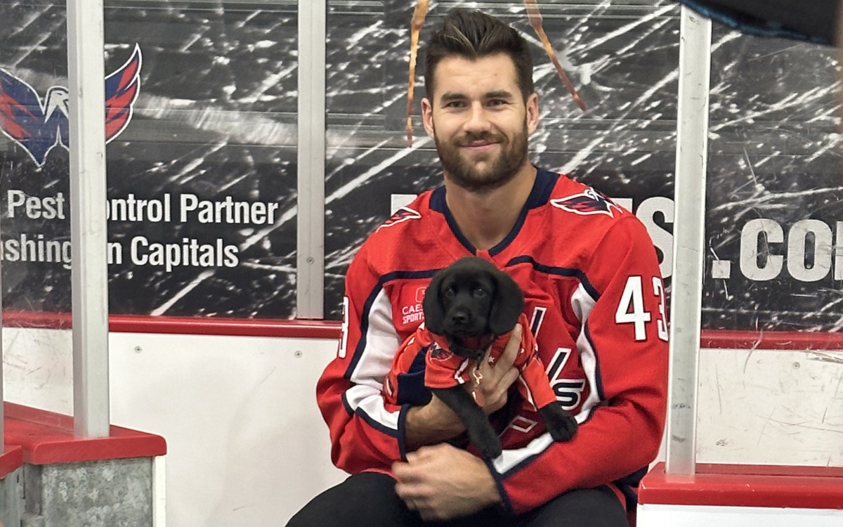 Tom Wilson Poses With Puppies In Penalty Box, & Scenes From Capitals