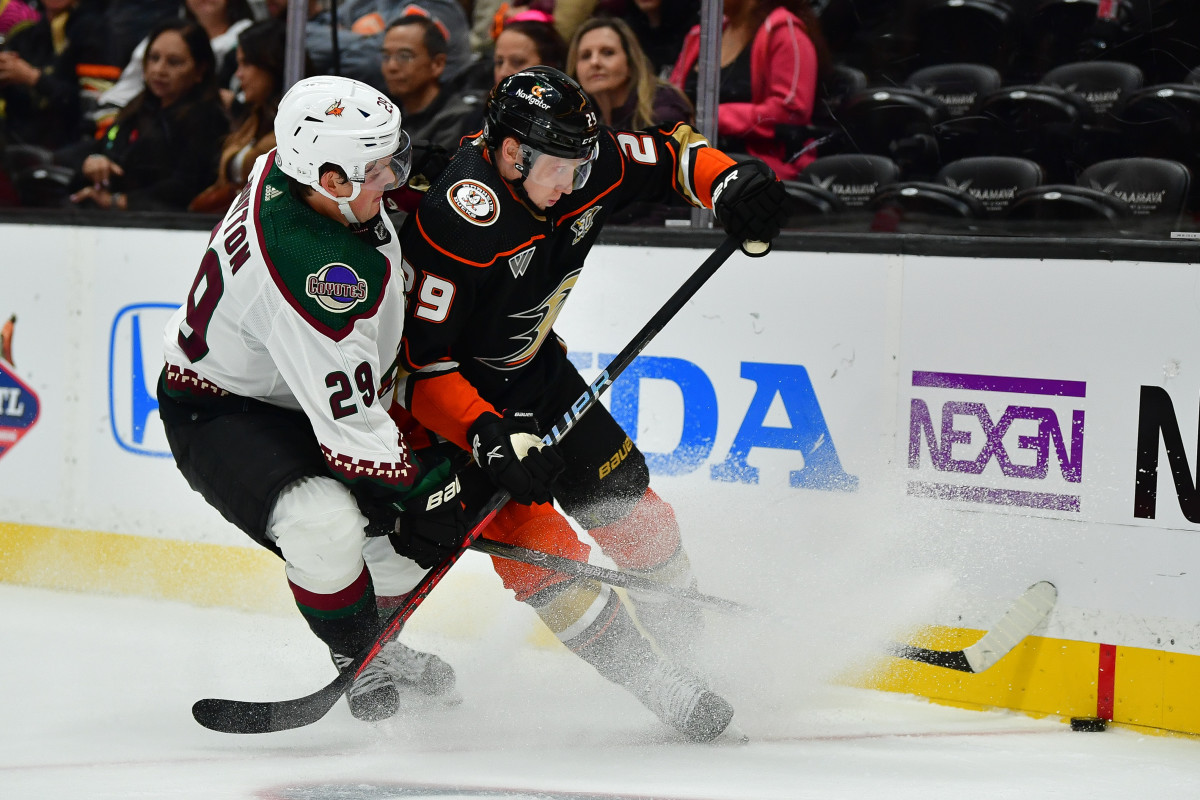 Ducks place D Stoner on waivers 