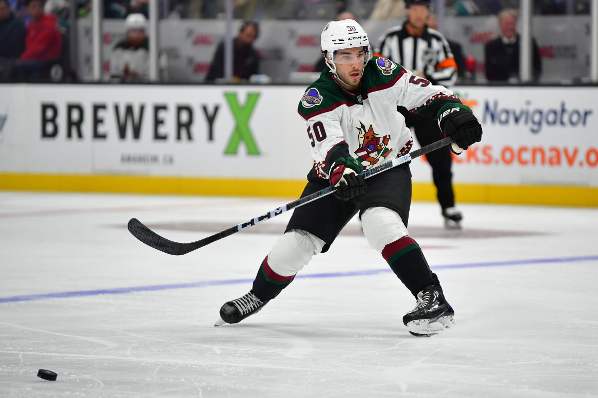 Pre-Preseason Thoughts on the Arizona Coyotes