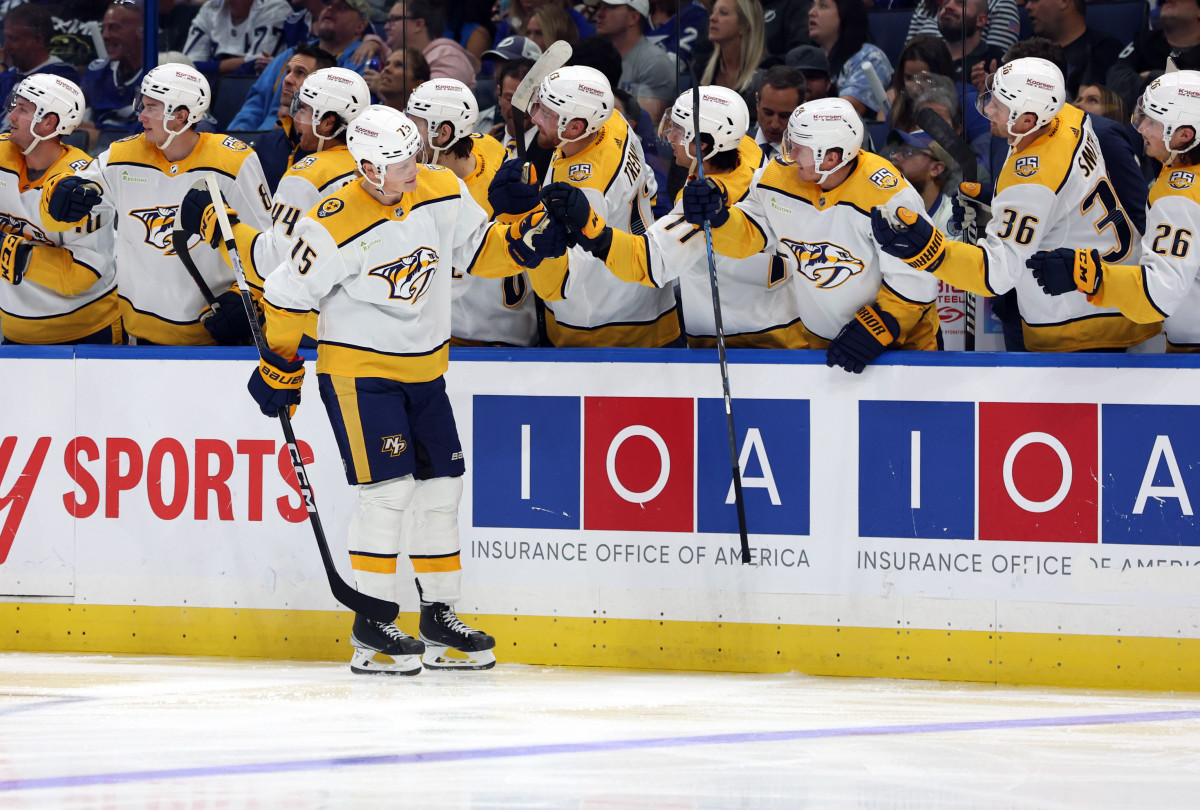 Novak scores 2nd goal in OT, Predators beat Ducks 5-4 - ABC7 Los Angeles