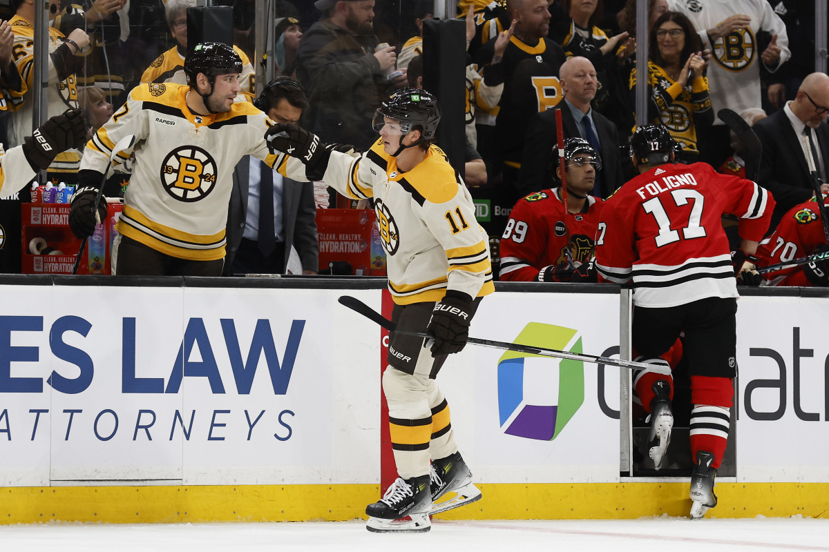 Playing For Tips: How Size And Skill Impact The Boston Bruins' New ...