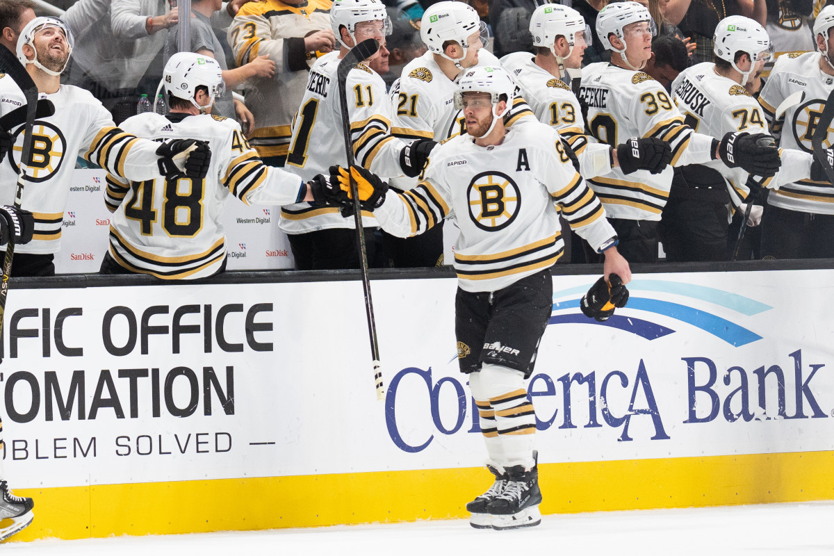 Boston celebrates a goal from Boston Bruins left wing Jake DeBrusk