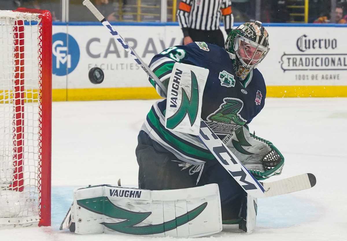 ECHL Notebook: Everblades Shine In Pre-Season; Stingrays Go Hunting ...