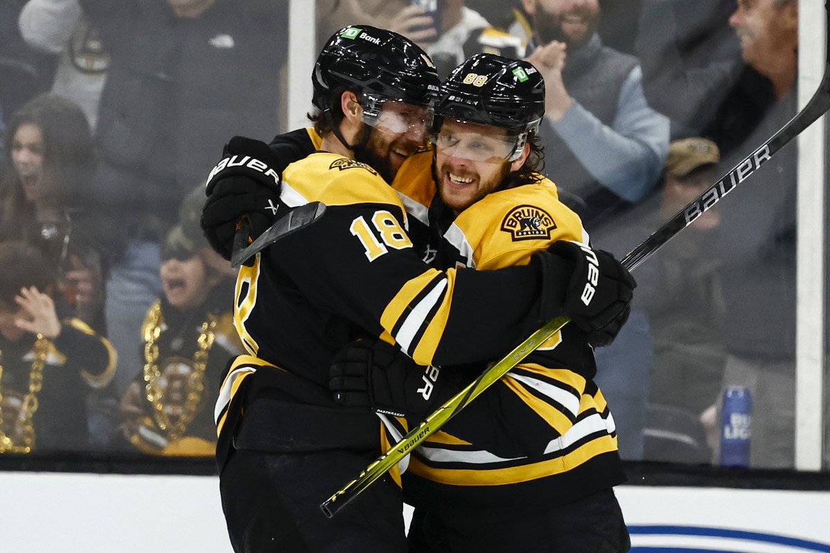 David Pastrnak & Pavel Zacha