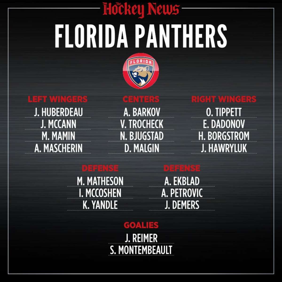 2020 Vision What the Florida Panthers roster will look like in three